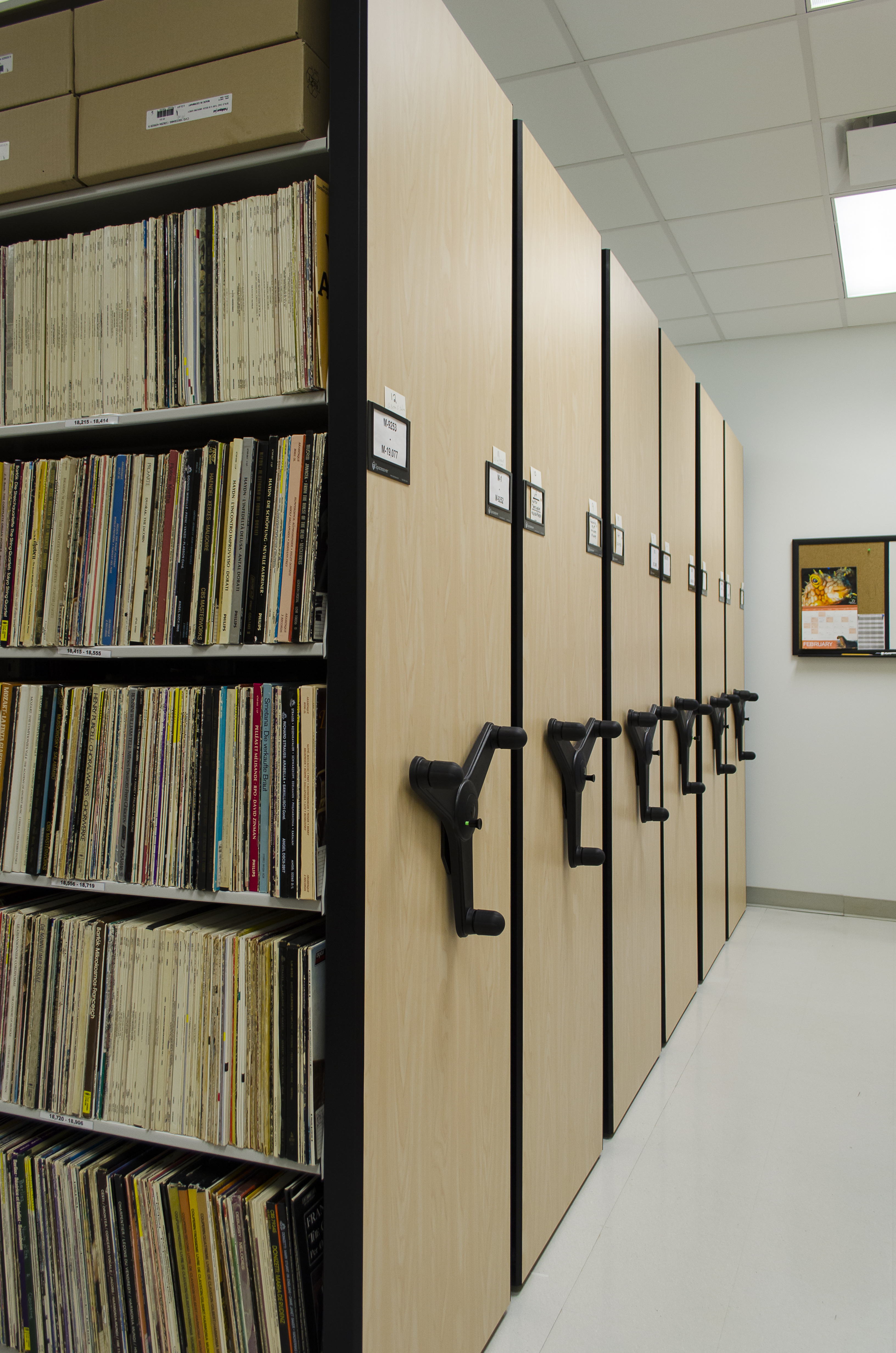 Compact Recording Collection Moveable Shelves